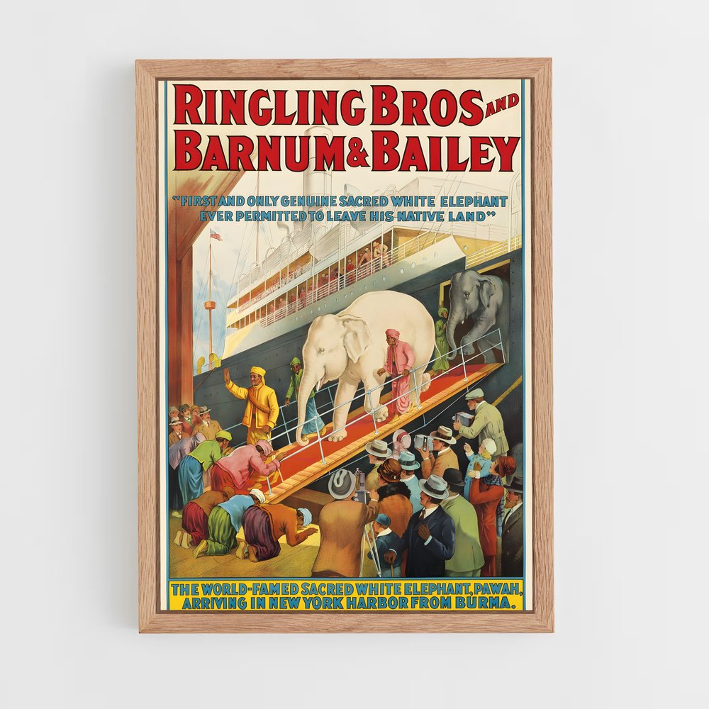 Poster Ringling brothers – affiche Cirque (vue 4)